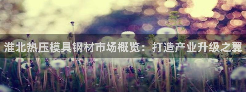 易倍申和易倍清的区别：淮北热压模具钢材市场概览：打造产业