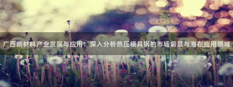 emc易倍官网首页进入：广西新材料产业发展与应用：深入分