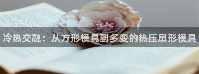 易倍申不良反应：冷热交融：从方形模具到多变的热压扇形模具
